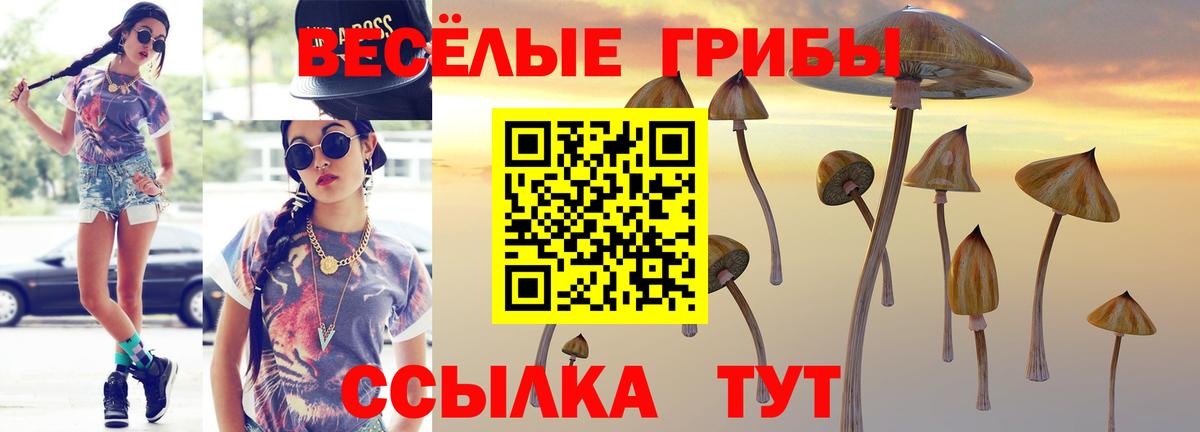 Абакан  Псилоцибиновые грибы мухоморы  Вход с VPN 