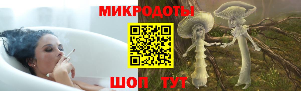 Галлюциногенные грибы мухоморы Абакан
